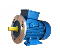 Электродвигатель АИР160S6 11кВт 1000об/мин 